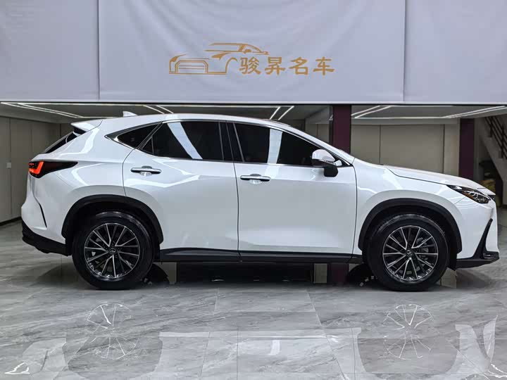 Lexus NX 2024 2024款 260 前驱 创悦版