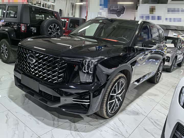 GAC Trumpchi GS8 2024 2024款 领航系列 2.0TGDI 两驱豪华智联版 7座