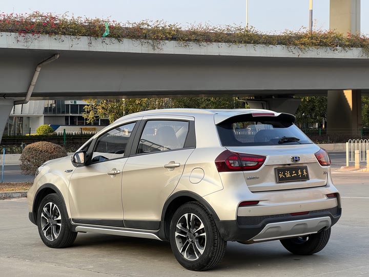 Фото 5 - Geely Vision X3