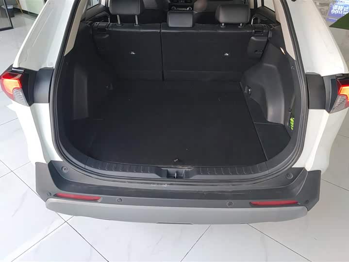 Toyota RAV4 2021 2021款 2.0L CVT两驱风尚PLUS版