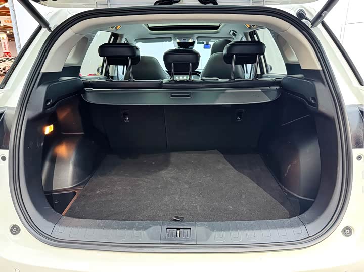 Zdjęcie 7 - GAC Trumpchi GS4