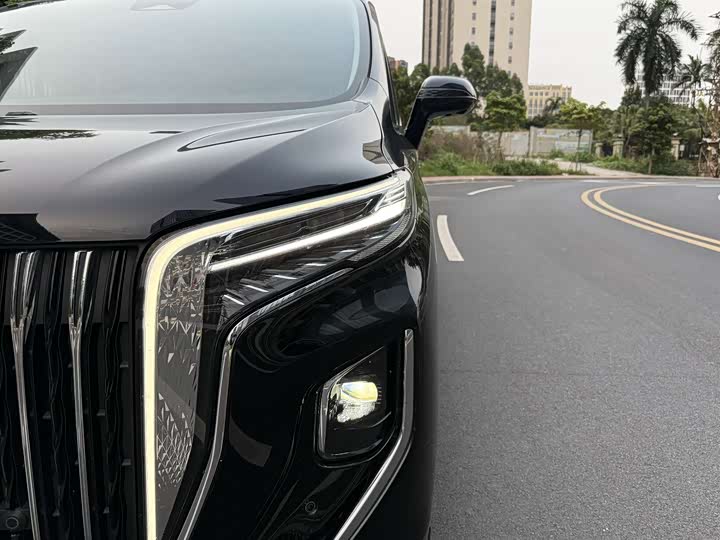 Hongqi HQ9 2023 2023款 2.0T 智联旗享版
