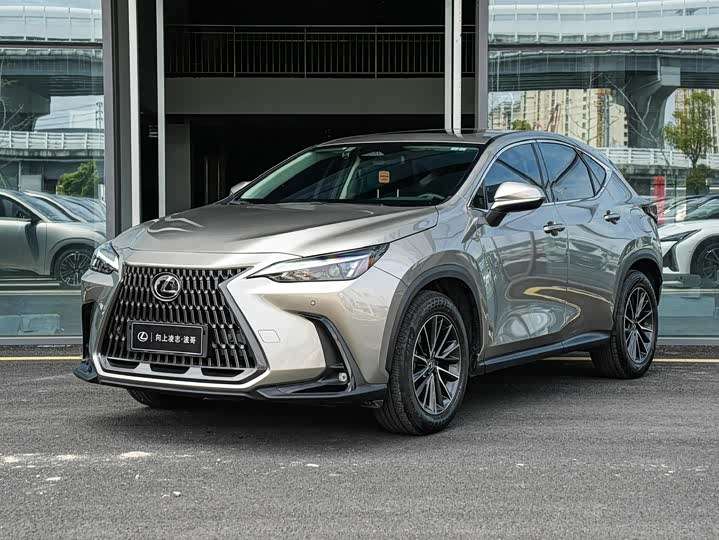 Фото 1 - Lexus NX Hybrid