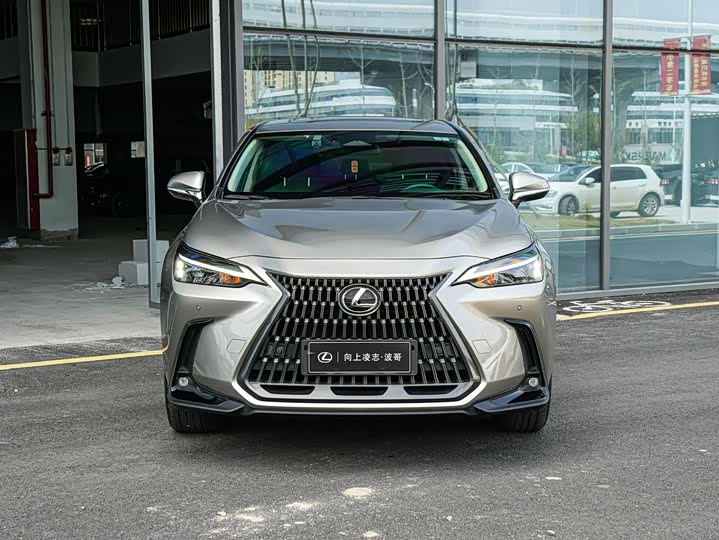 Фото 2 - Lexus NX Hybrid