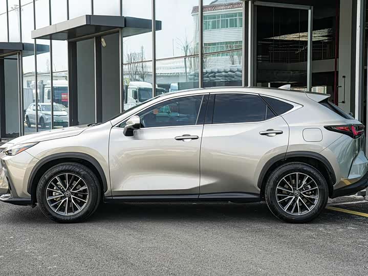 Фото 7 - Lexus NX Hybrid