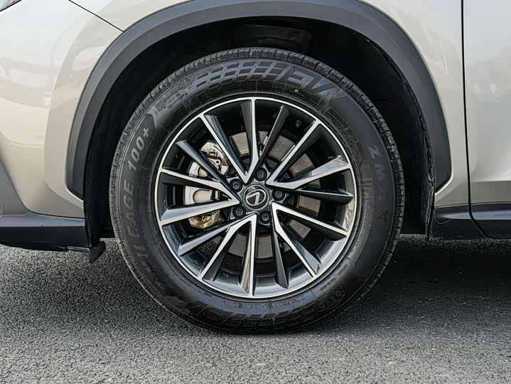 Фото 8 - Lexus NX Hybrid