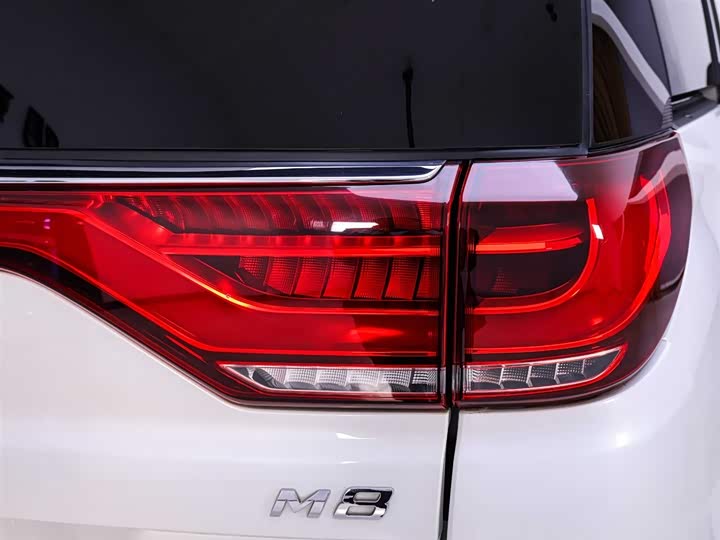 GAC Trumpchi M8 2021 2021款 大师系列 390T 至尊版