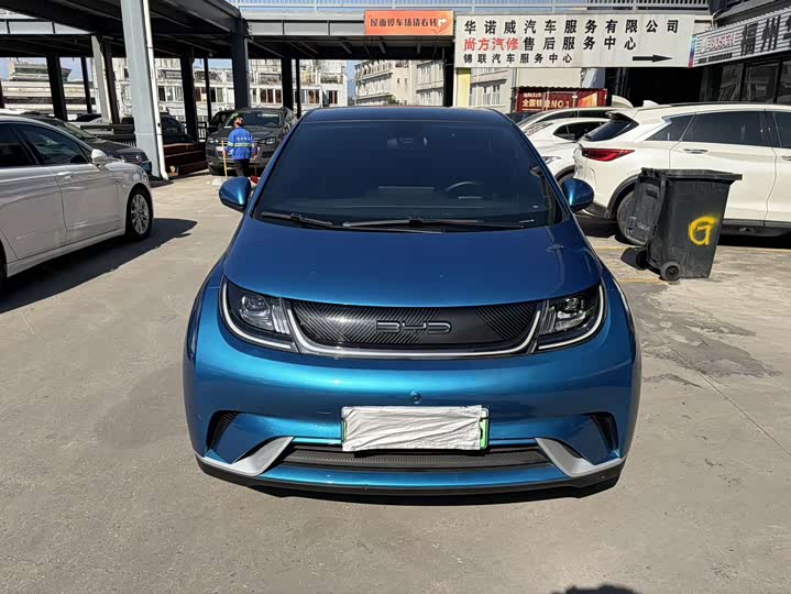 Фото 2 - BYD Dolphin