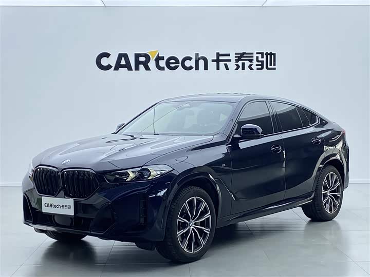 2023 BMW X6