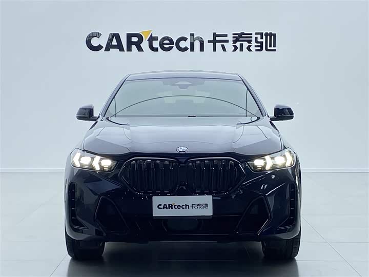 2023 BMW X6