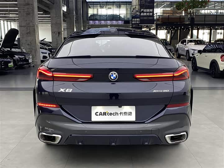 2023 BMW X6