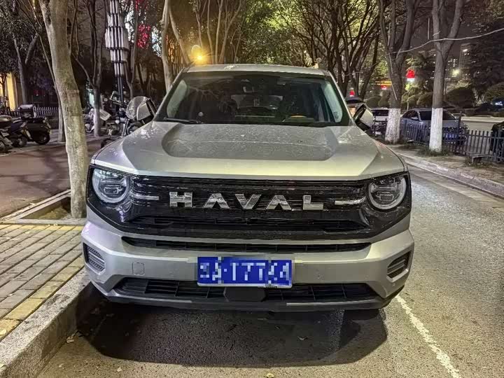 2026 Haval H-Dog