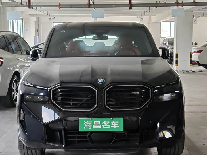 BMW XM 2023 2023款 基本型