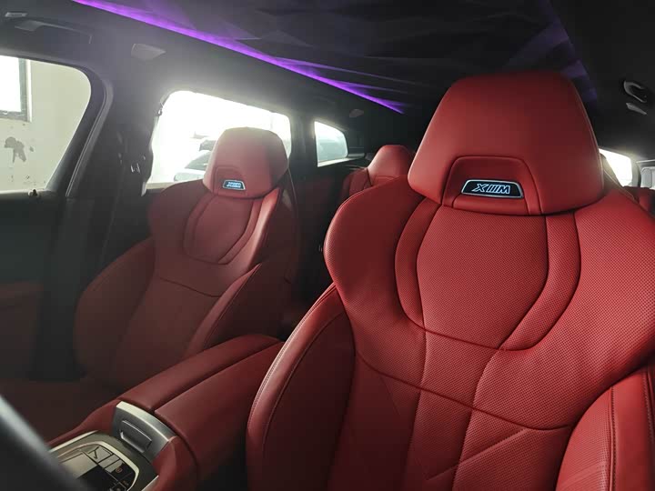 BMW XM 2023 2023款 基本型