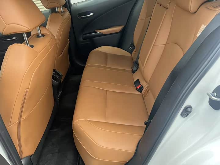 Lexus UX Hybrid 2020 2020款 300e 纯·悦版