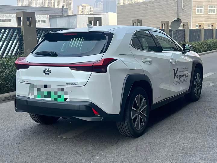 Lexus UX Hybrid 2020 2020款 300e 纯·悦版