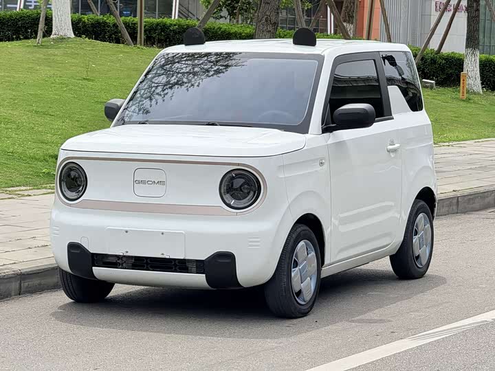 Geely Galaxy Panda Mini 2023 2023款 熊猫mini 200km 耐力熊