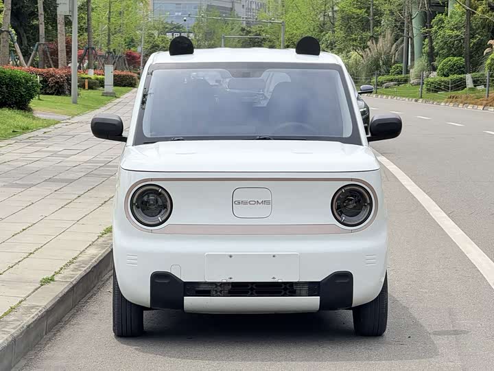 Geely Galaxy Panda Mini 2023 2023款 熊猫mini 200km 耐力熊