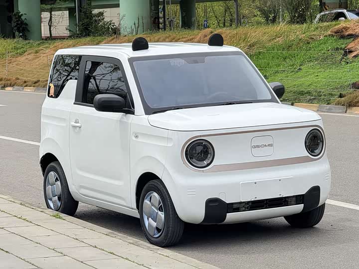 Geely Galaxy Panda Mini 2023 2023款 熊猫mini 200km 耐力熊