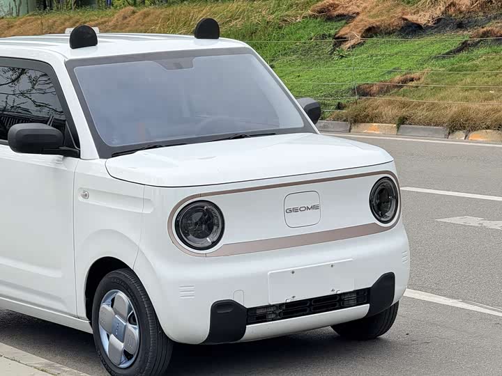 Geely Galaxy Panda Mini 2023 2023款 熊猫mini 200km 耐力熊