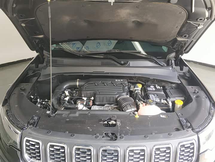 Jeep Compass 2021 2021款 220T 自动四驱精英版