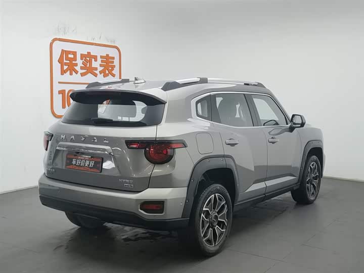 Haval H-Dog Hybrid 2024 2024款 Hi4 102km 潮电版Plus
