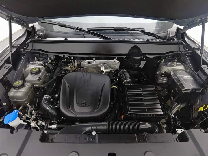 Haval H-Dog Hybrid 2024 2024款 Hi4 102km 潮电版Plus