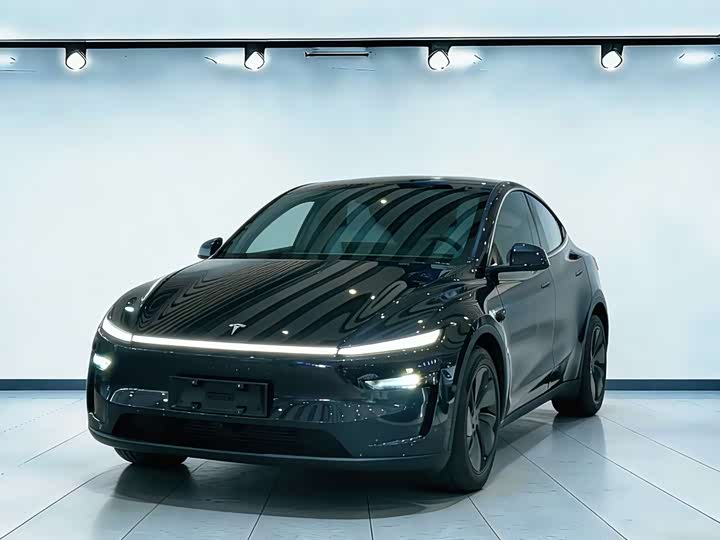 Tesla Model Y 2025 2025款 后轮驱动 首发版