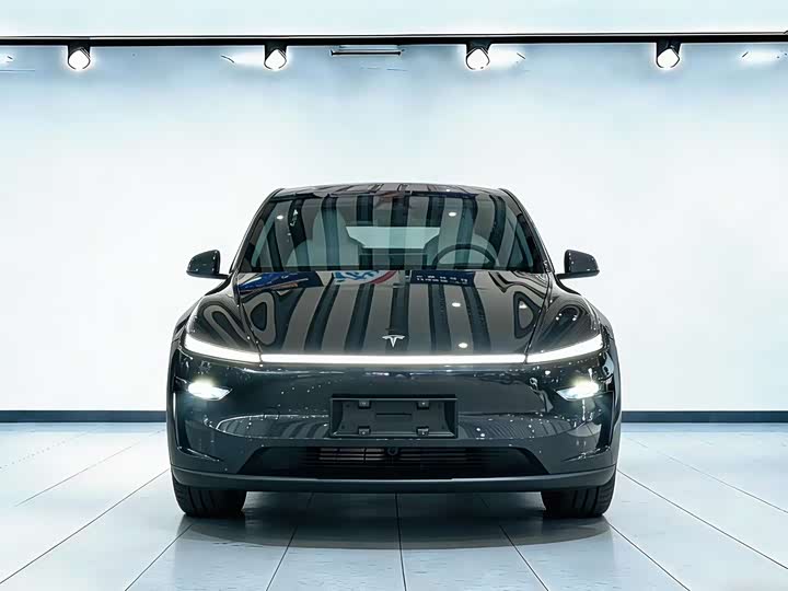 Tesla Model Y 2025 2025款 后轮驱动 首发版