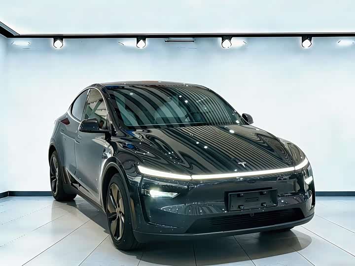 Tesla Model Y 2025 2025款 后轮驱动 首发版