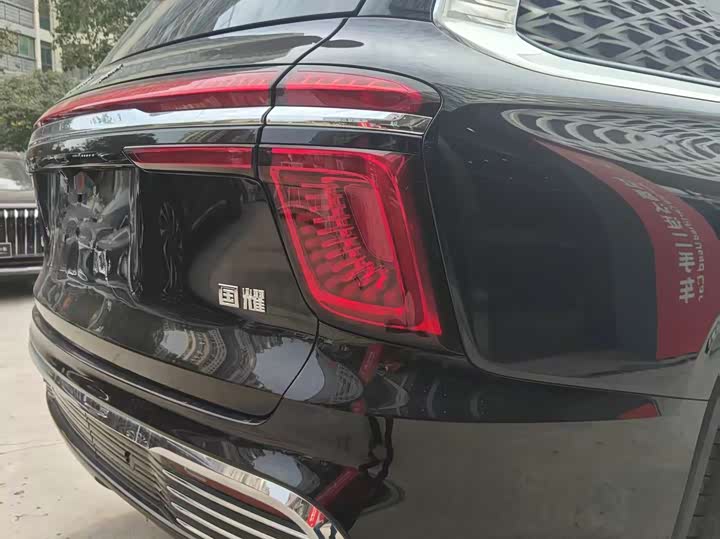 Hongqi LS7 (Guoyao) 2022 2022款 4.0T 典雅旗航版 6座