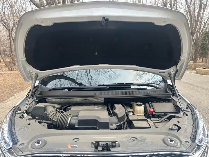 Фото 9 - Buick GL8 ES