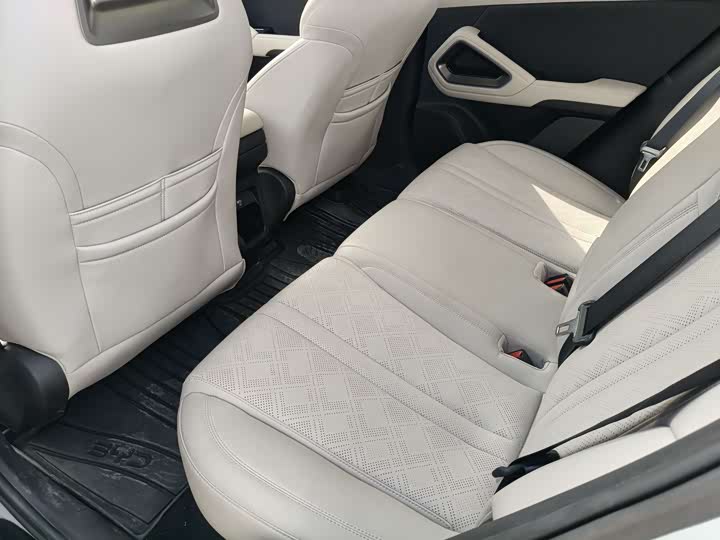 BYD Yuan Up 2024 2024款 401KM 超越型