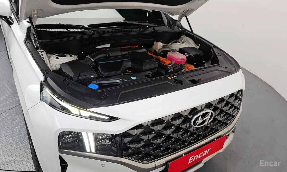 Фото 6 - Hyundai Santa Fe