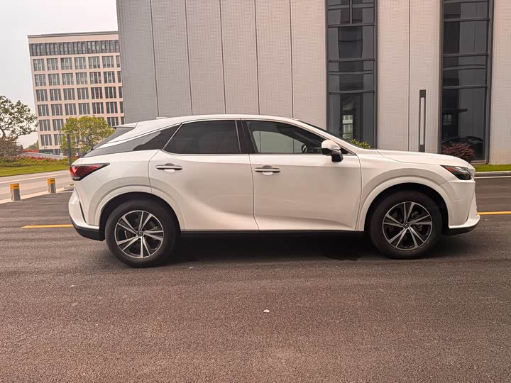 Lexus RX 2025 2025款 300 四驱骏享版