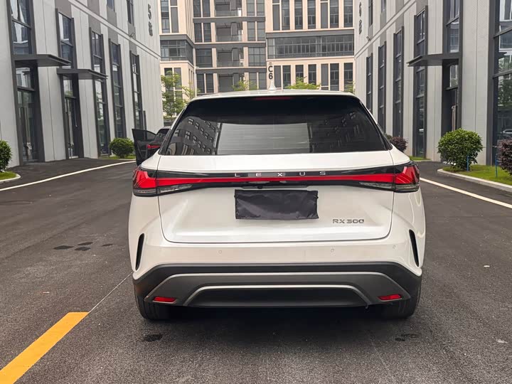 Lexus RX 2025 2025款 300 四驱骏享版