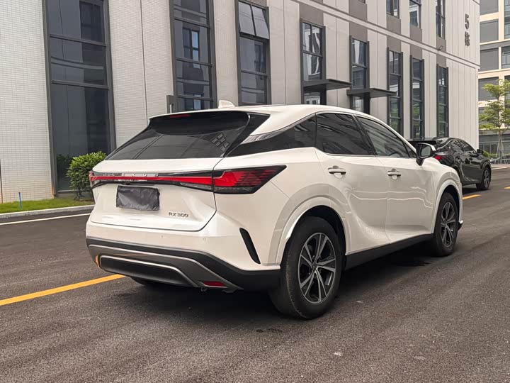 Lexus RX 2025 2025款 300 四驱骏享版