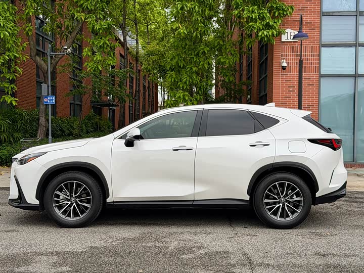 Lexus NX 2024 2024款 260 前驱 创悦版