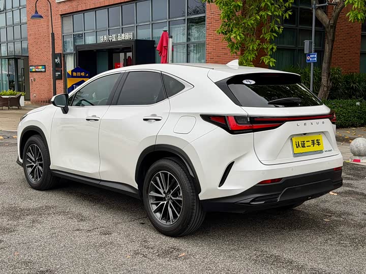 Lexus NX 2024 2024款 260 前驱 创悦版