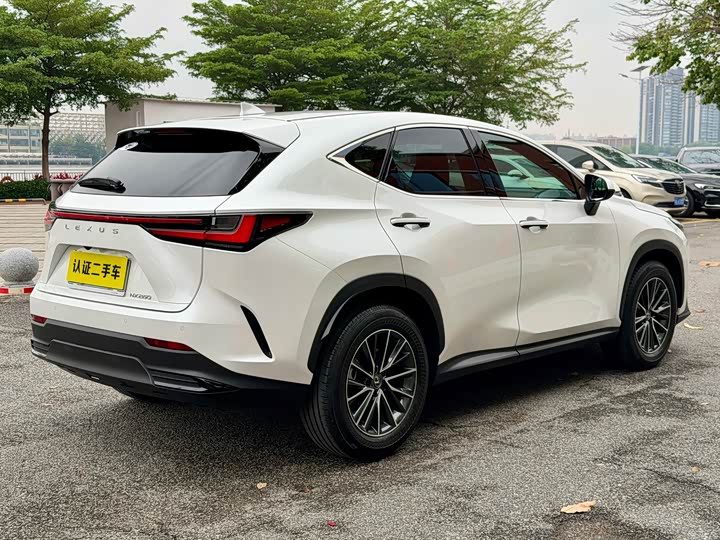 Lexus NX 2024 2024款 260 前驱 创悦版