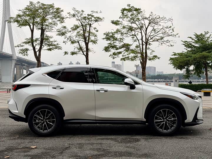 Lexus NX 2024 2024款 260 前驱 创悦版