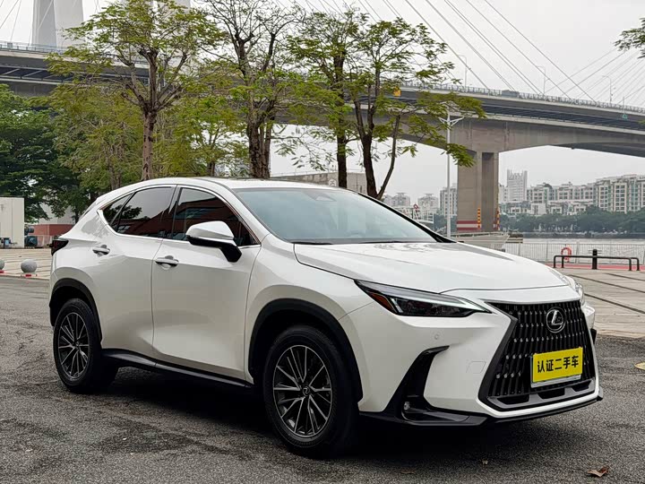 Lexus NX 2024 2024款 260 前驱 创悦版