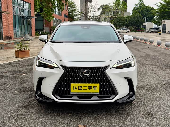 Lexus NX 2024 2024款 260 前驱 创悦版