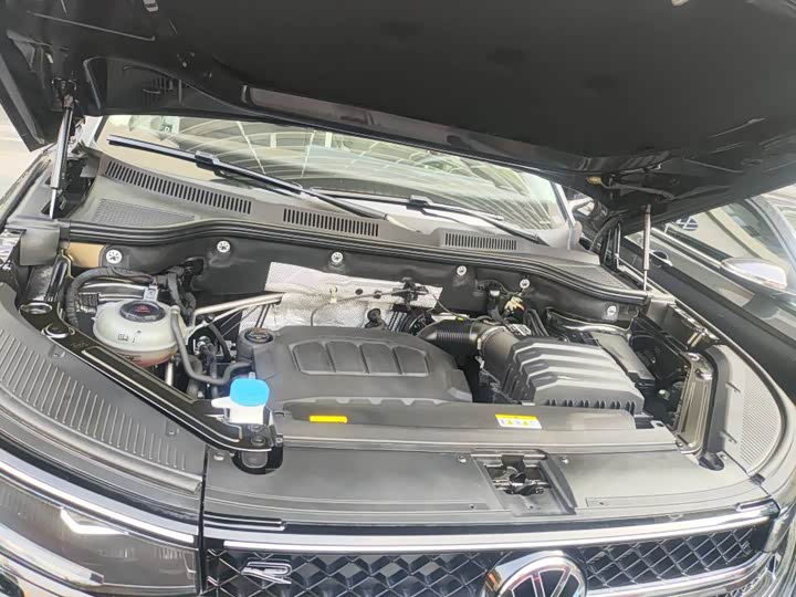 Volkswagen Tavendor 2023 2023款 380TSI 四驱R-Line巡游版