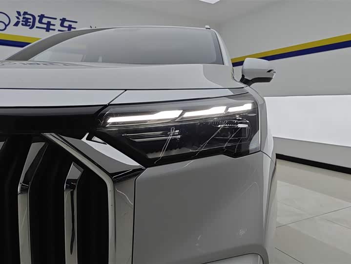 Geely Okavango L 2024 2024款 2.0T DCT豪华型
