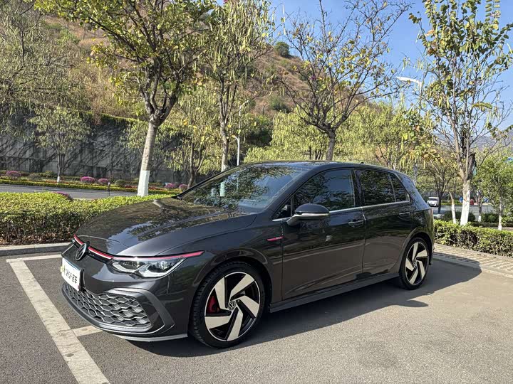 Volkswagen Golf GTI 2021 2021款 380TSI DSG GTI