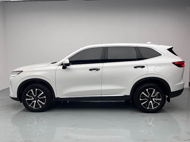 صورة 8 - Haval H6
