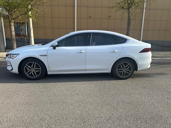 BYD Qin Plus 2021 2021款 EV 500KM 尊贵型