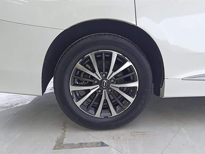 GAC Trumpchi M8 2021 2021款 改款 领秀系列 390T 豪华版
