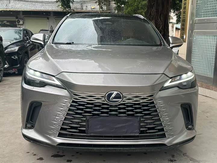 Lexus RX 2023 2023款 350h 两驱舒享版